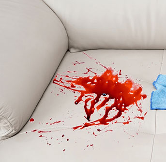 stain stain